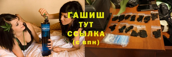 мдпв Осташков