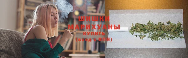 мдпв Осташков