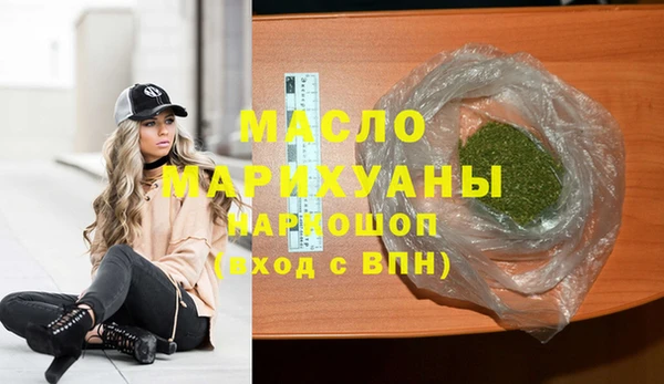 сатива Няндома