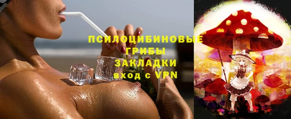 стафф Пересвет