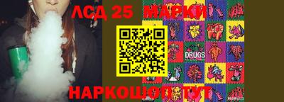 гидропоника Балашиха