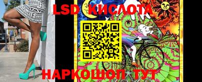 шишки Бузулук