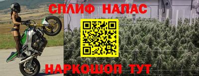 гидропоника Балашиха