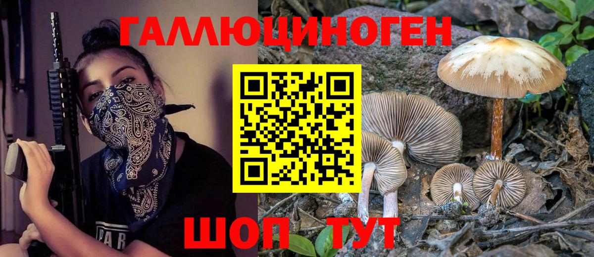 купить наркотик  Псилоцибиновые грибы ЛСД  Вход с VPN  Североуральск 